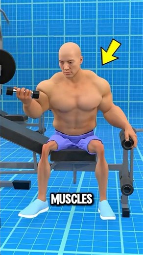 How Muscles Really Grow