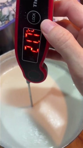 Testing Purisima milk to make my yogurt with starter culture 🍦#yogurt #with #whole #milk #purisima