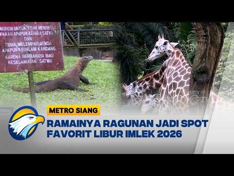 Ragunan Ramai! 30 Ribu Orang Serbu Libur Imlek 2026 - [Metro Siang]
