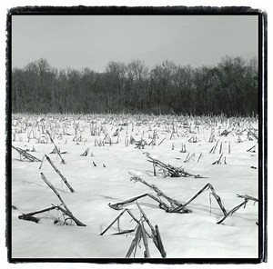 Queen Victoria - Auld Lang Syne