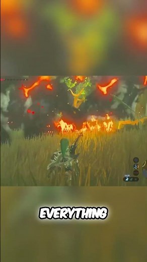 The Best Way To Defeat Bees? - Zelda Mythbusting