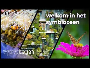 Zo kunnen we weer samenleven met de natuur | VPRO Tegenlicht
