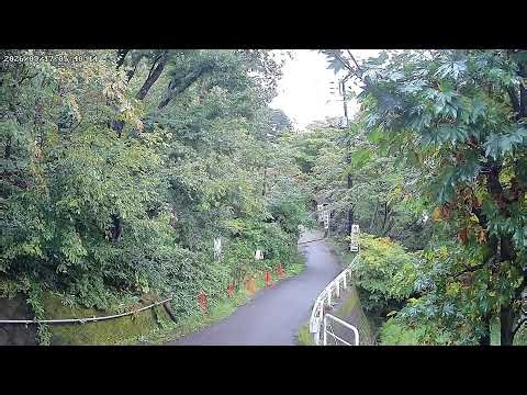 群馬県吾妻郡草津町 白根神社参道ライブカメラ