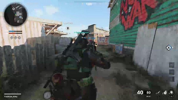 Trashcan_Kitty - Twitch