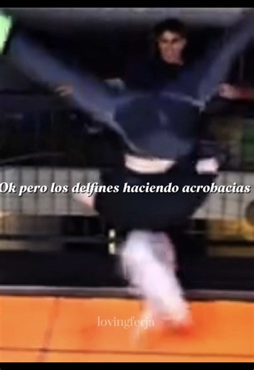 Si hubiera una competencia de acrobacias ganarían 😮‍💨 || Shau toda tierna con su mini mortal 🥹✨ || Todos son unos acróbatas jeje 🫶🏻 || @Fer Jalil @Diosdado @MARIANA @Alejandro Nieto @ShaulaPonce2.0 @Bastian Delfin #delfines #noflop #viraltiktok #foryou #parati