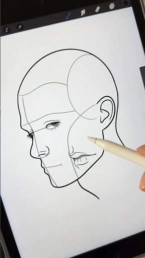 Portrait Procreate Brushes - Link in Bio #procreate #portrait #digitalart