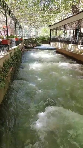 Exploring Berdawni: The Natural Beauty of Zahle, Lebanon