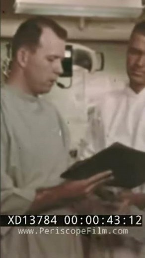 US Navy careers in the navy life