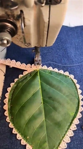 How to use a sewing machine and create beautiful designs. #sewing #machine