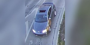 Lawrence hit-and-run critically injures 74-year-old woman, kills her dog