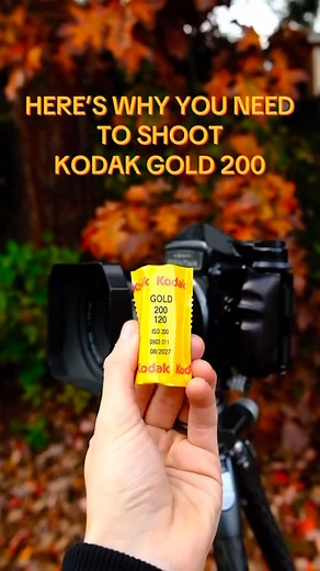 Ever shot Kodak Gold? We absolutely love the warm contrasty scans that come off this film! Especially when shot through a Pentax 67📸 | Focal Point Photography