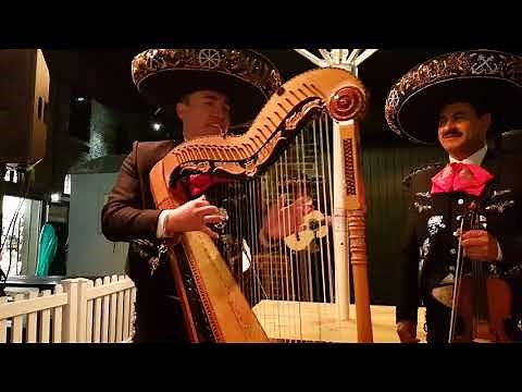 Mariachi de Marina, el cascabel (solo de Arpa)