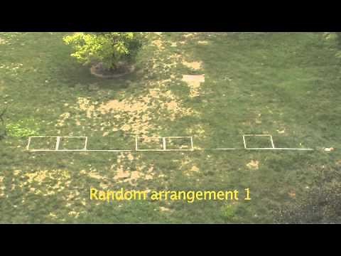Vegetation sampling using transects and plots
