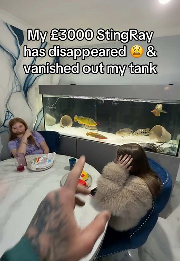 Dad's £3000 StingRay Vanishes From Tank 😭