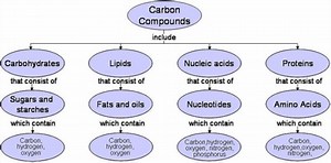 2.1 Molecules to Metabolism
