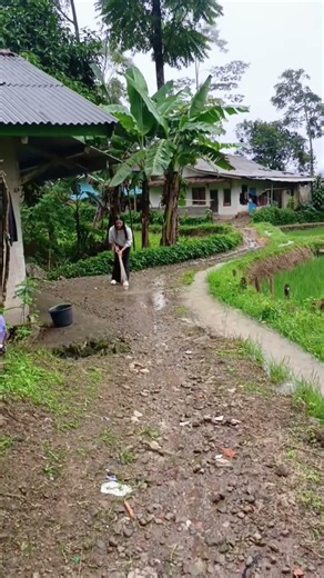 Cleaning the Muddy Village Path 🧹🌾 #Shorts