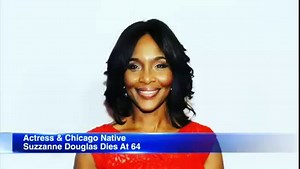 Tonight we celebrate the beautiful life and legacy of actress Suzzanne Douglas-Cobb! She was born and raised on the Southside of Chicago and graduated from Illinois State University. She was a Soror and a Member of Delta Sigma Theta❤❤🔺️🔺️ She was known for her leading role in Parent Hood created by another Chicagoan and fellow ISU classmate Robert Townsend. She starred in several movies and TV shows including Tap alongside Sammy Davis Jr. and Gregory Hines!! She was also in How Stella Got Her 