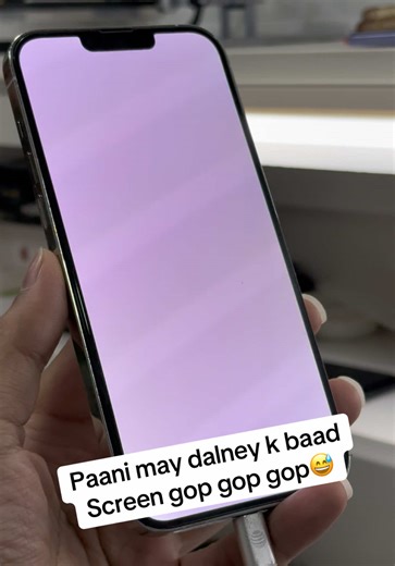 iPhone 13 Pro Max Screen Issues After Water Exposure