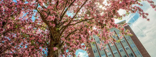 Campus Tour | Binghamton University
