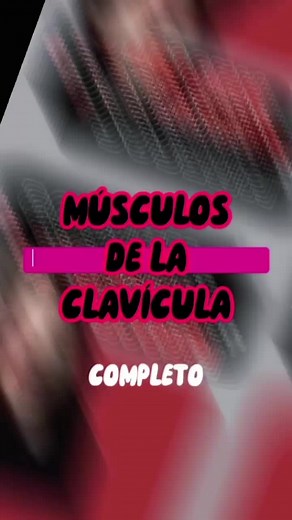 Músculos que se insertan en la clavícula: Anatomía detallada