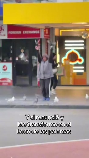 Canciones de Shrek y Blancanieves - Descubre el Encanto Musical de las Películas