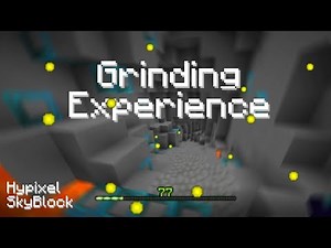 Hypixel SkyBlock experience grinding guide (all the best methods)