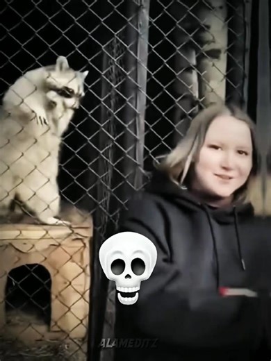 Other Animals Dancing VS This Animal Dancing 💀