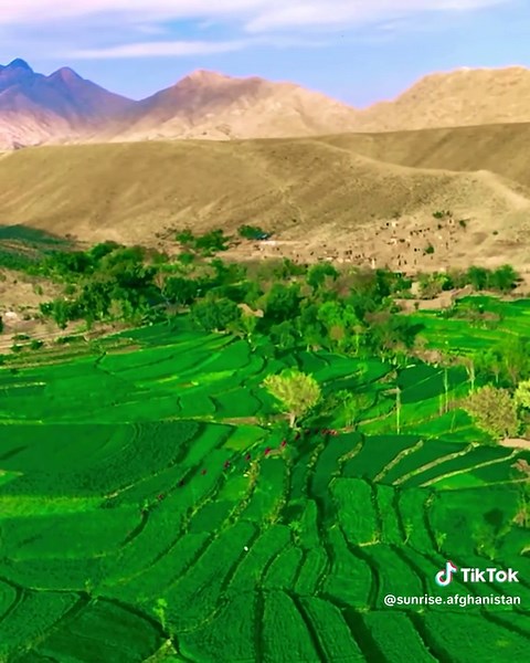 Exploring Laghman: A Journey through Afghanistan's Nature