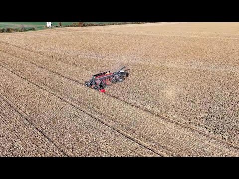 Massive Corn Harvest 2025 in Ohio 🇺🇸 | NEXAT System Tractor & 31-Row Corn Header in Action