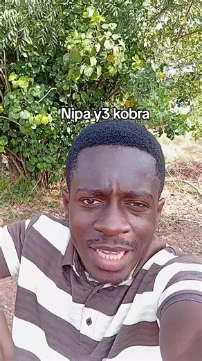 Free Breakfast Initiative for Students at SRC UCC