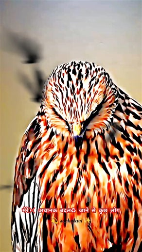 👀❌♻️🔥मेरे अचानक बदल जाने से परेशान✨💯❌♻️ @Sochxlavi #attitude #trendingshorts #motivation #viral