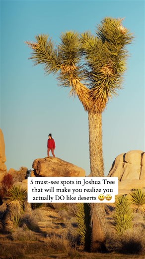 Discover the Unique Landscapes of Joshua Tree National Park