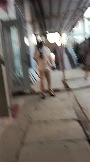 adega (@adega2024)’s videos with original sound - adega