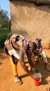 5.7K reactions · 58 shares | Funny dog | Grandfather Funniest | Facebook