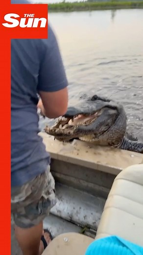 Terrifying moment alligator lunges from water and snaps at boat sending shocked tourists into panic #Shock #Terrifying Credit: Newsflare https://www.thesun.co.uk/news/23220715/alligator-boat-swamp-tourists-new-orleans-louisiana/ | The Sun