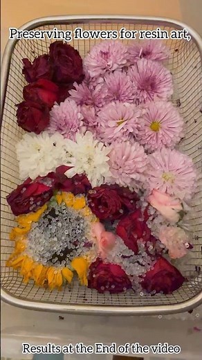 How to Dry Flowers at Home| Preserving flowers for resin with Silica |Resin Art | Resin tutorial