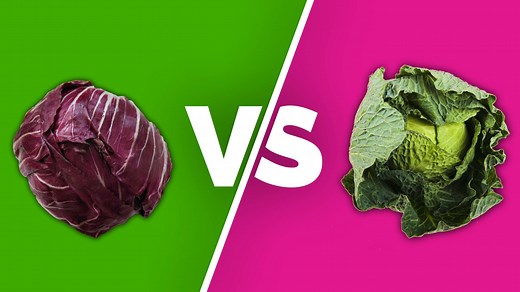 There's a lot more than meets the eye when it comes to the differences between red cabbage and green cabbage. In this video, I explain everything between their nutritional differences to the more obvious ones, like color. | Jerry James Stone