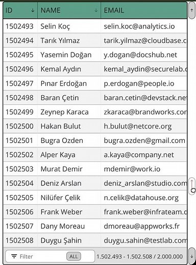 DataTable - Efficiently handles large datasets