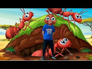 Big Bug Chase | Brain Break Exercise for Kids! 🪲🐛