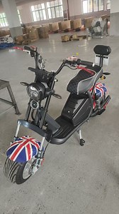 [Hot Item] X16 Citycoco 2000W Citycoco 3000W Electric Scooter Brazil