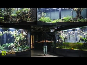 The World's Largest Home Ecosystem Setup - 2 YRS Later
