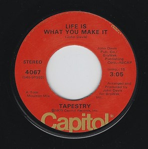 Tapestry - Life Is What You Make It