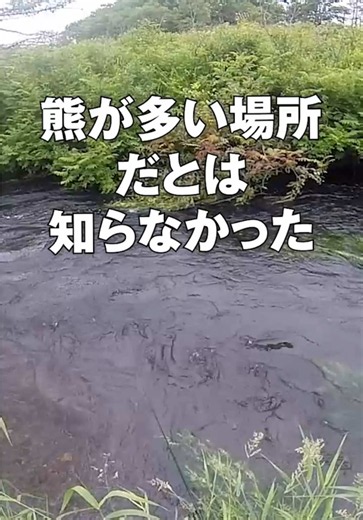 魚影が濃すぎる意外な理由 #渓流 #渓流釣り #渓流ルアー #エゾイワナ #北海道