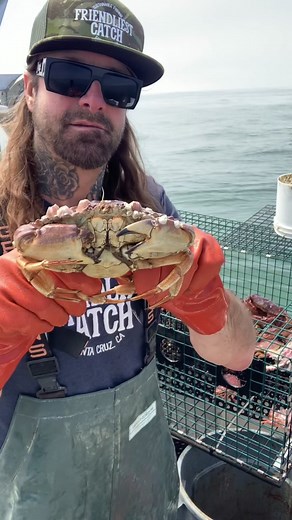 Barnacle Chronicles Micro Dose #barnacleremoval #fyp #crab