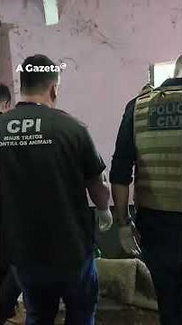 Cenário de horror: criança vivia entre animais em situação extrema em Guarapari #shorts #noticias