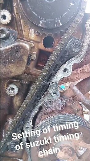 how to set suzuki timing chain