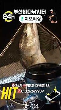 🎣이오피싱 바다낚시터에서..#부산바다낚시터 #대물낚시 #야간낚시 #밤낚시 #낚시영상