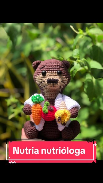 Nutria Nutrióloga: Amigurumi y Nutrición Creativa
