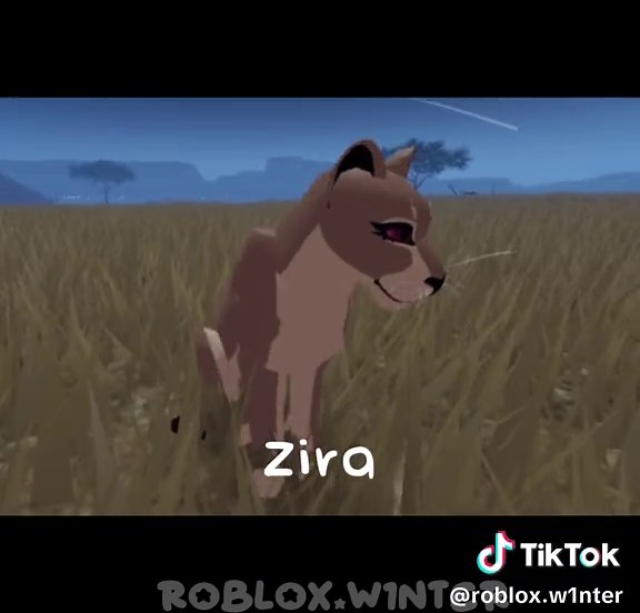 Meet the lions #CapCut #fyp #fypシ #foryou #foryoupage #viral #viralvideo #roblox #edit #roleplayer #cat #wcue #capcut #lion #lionking #alionspride