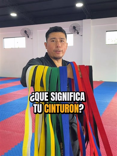Significado de los Cinturones en Taekwondo
